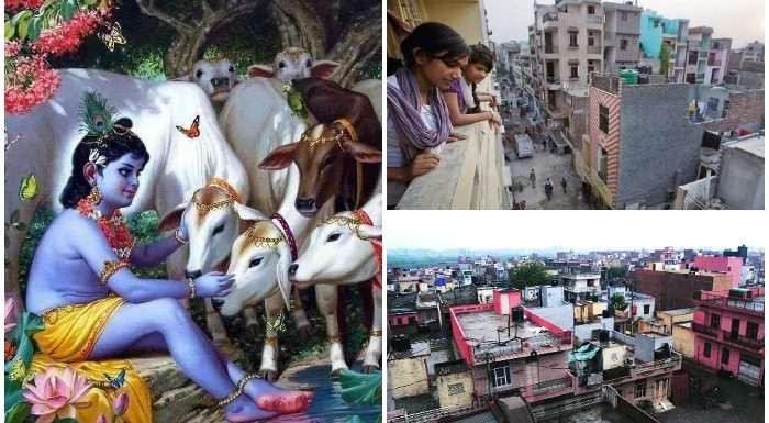 मुरारी से बना है बुराड़ी, यहीं पर गैया चराते थे कन्हैया!