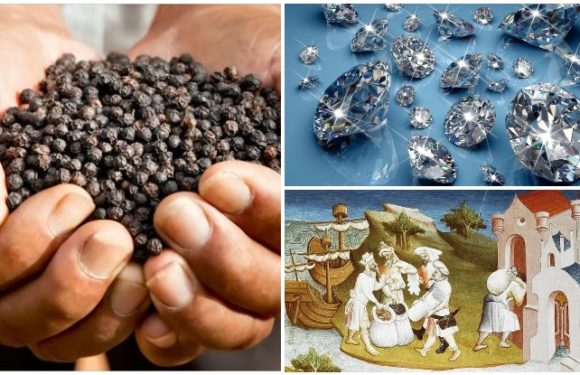 काली मिर्च का इतिहास (Black Pepper History): भारत का मसाला, जो दुनिया के लिए हीरा बन गया