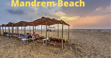 Find out why Mandrem Beach is special among tourists in Goa