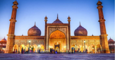 Mosques in Delhi - popular muslim shrines in India capital