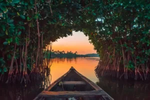 Munroe Island, Kerala