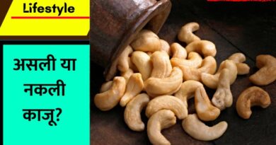 Cashews Quality Check